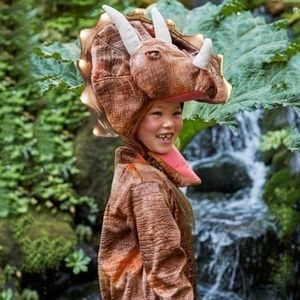 Size 3T Triceratops Pottery Barn Kids